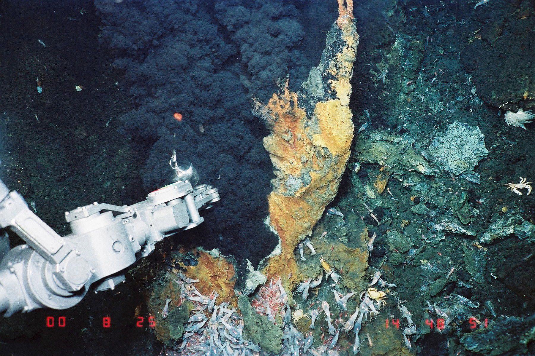 海底熱水鉱床