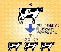 同じ遺伝的特徴を人工的に生み出す