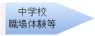 中学校職場体験等