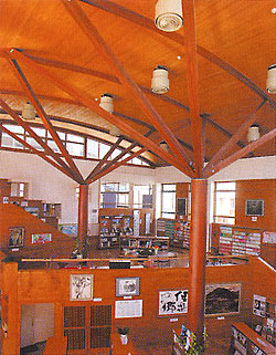 図書室。木に囲まれた吹き抜け空間