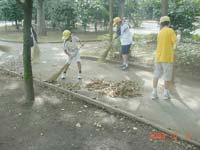 中央公園を掃除する写真