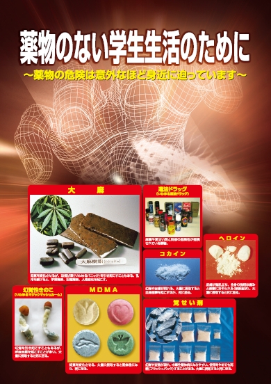 パンフレット画像