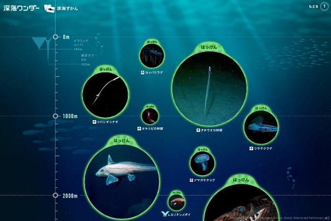 深海図鑑。それぞれ生物をクリックすると解説と映像がでます。