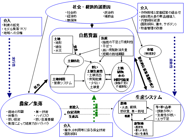 図3．生物的・物理的制約および生産システム、農家、集落の相互関係の概観図　（Place, F. and E. Were. 2003）