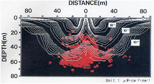 図3　イカ釣り操業時におけるソナー画像と水中照度分布