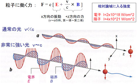 図5：相対論域における粒子の加速