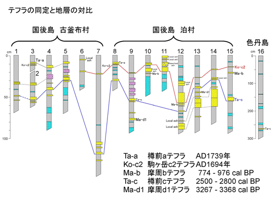 図5　調査地点での柱状図と本研究により同定された北海道の火山起源のマーカーテフラの層序を示す