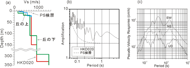 図2　（a）推定されたS波速度構造。HKD020は、「丘の上」と「丘の下」の構造を結合したもの。K‐NETのPS検層の構造も示している。（b）（a）のHKD020とPS検層構造に対するSH波の増幅特性。（c）2004年留萌支庁南部の地震によるHKD020での擬似速度応答スペクトル。