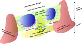図3. 跡津川断層総合集中観測から得られた応力集中の概念モデル．