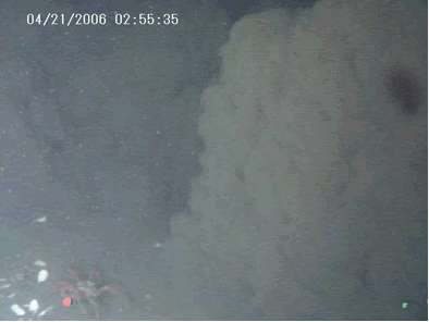 平成18年4月21日に初島沖観測ステーションにより観測された泥流