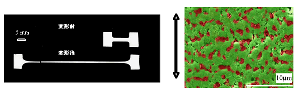 図2. 左図：1450度、約10時間かけて引っ張ったフォルルステライト＋ペリクレース合成試料。右図：400％引張試料の微細構造。矢印は引っ張り方向。緑がフォルステライト、赤がペリクレース粒子（東京大学地震研究所［課題番号：1427］）。