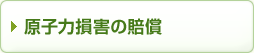 東京電力株式会社福島原子力発電所の事故に伴う原子力損害の賠償