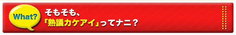 そもそも、「熟議カケアイ」ってナニ？