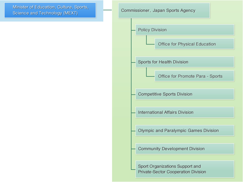 Organizational Chart For Sports Organization