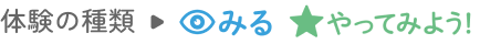 体験の種類→みる やってみよう