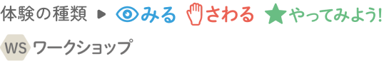 体験の種類→みる さわる やってみよう ワークショップ