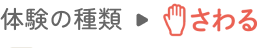 体験の種類→さわる