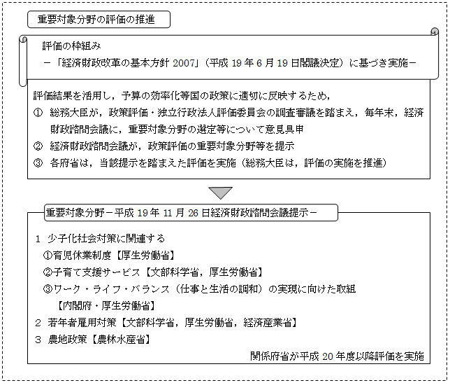 重要対象分野の評価の推進