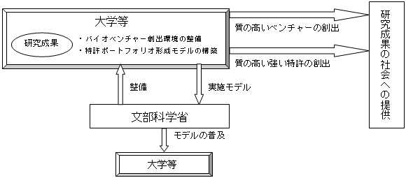 バイオベンチャー創出環境の整備、特許ポートフォリオ形成モデルの構築のスキーム図