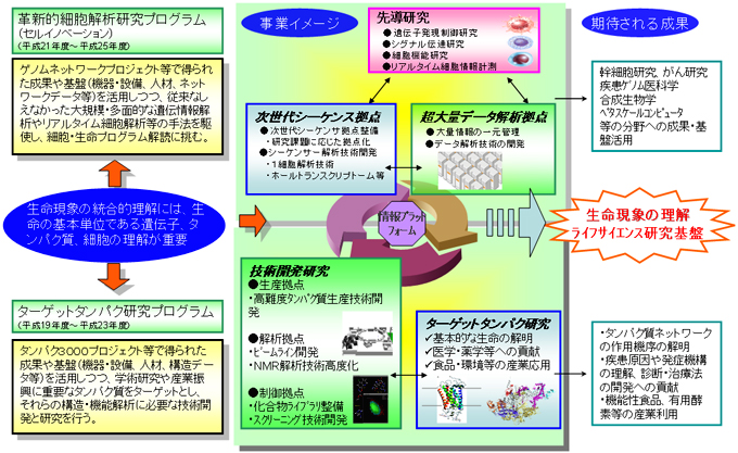 スキーム図