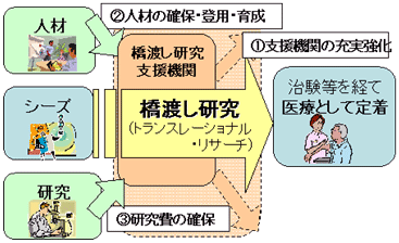 スキーム図