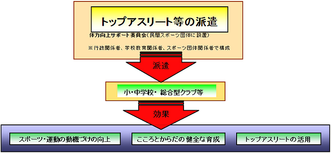 スキーム図