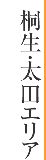 ːEcGA