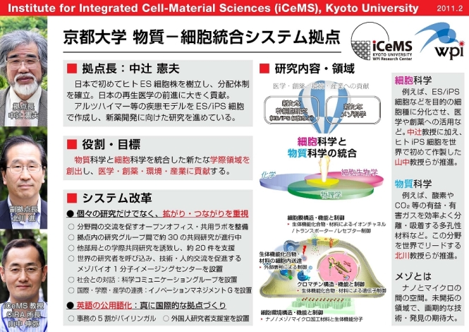 京都大学物質-細胞統合システム拠点では、中辻憲夫拠点長の強力なリーダーシップの下、物質科学と細胞科学を統合した新たな学際領域を創出し、医学・創薬・環境・産業に貢献するべく、研究を進めています。