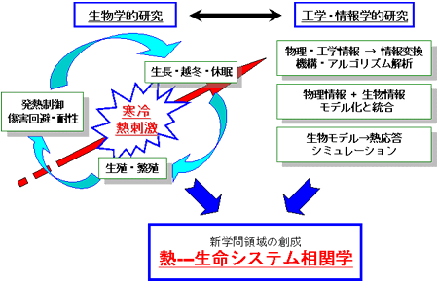 熱－生命システム相関学拠点創成