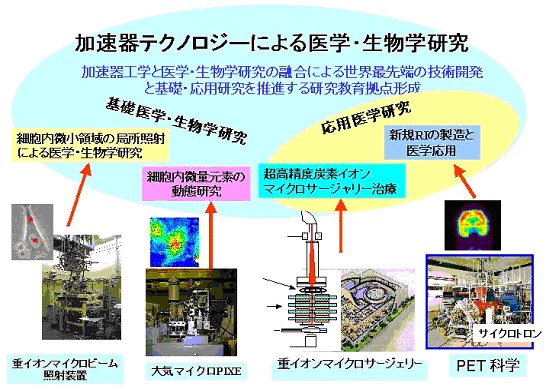 加速器テクノロジーによる医学・生物学研究