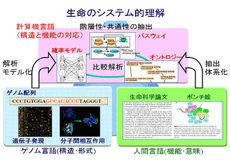 言語から読み解くゲノムと生命システム