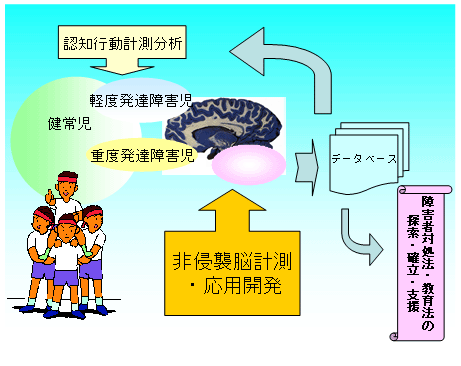 発達・学習・記憶と障害の革新脳科学の創成