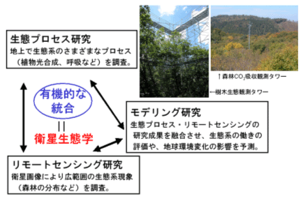 衛星生態学創生拠点