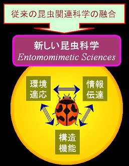 昆虫科学が拓く未来型食料環境学の創生