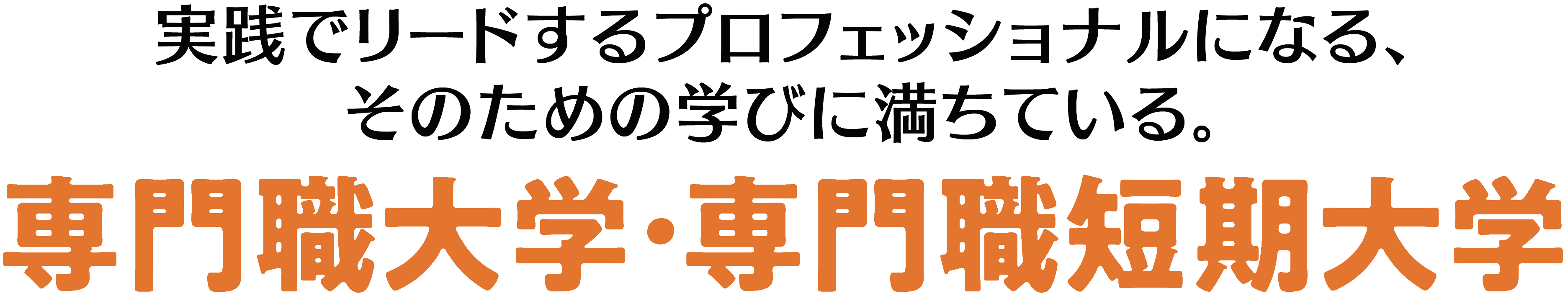 実践でリードするプロフェッショナルになる、そのための学びに満ちている。専門職大学・専門職短期大学