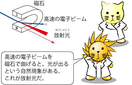 高速の電子ビームを磁石で曲げると、光が出るという自然現象があります。これが放射光です。