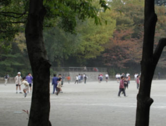 写真2‐2‐1 敷地外からの視認性の確保の例 写真2‐2‐1 敷地外からの視認性の確保の例