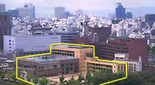 1．学校全景