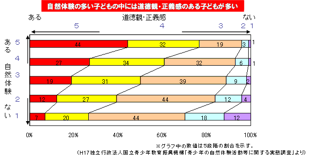 青少年の自然体験活動等に関する実態調査　グラフ