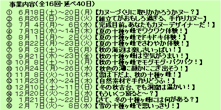 事業内容（全16回・延べ40日）