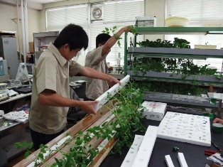 植物育成台の開発