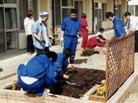 長老園の花壇に花の植栽