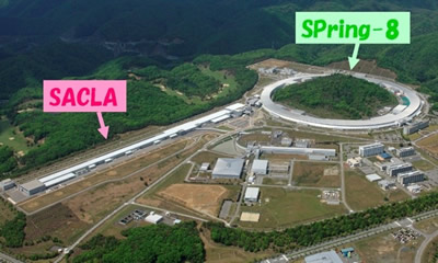 大型放射光施設（SPring‐8）及びX線自由電子レーザー施設（SACLA）（左の縦長の施設がSACLA。右の円形状の施設がSPring‐8）