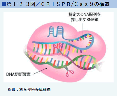 第1‐2‐3図／CRISPR／Cas9の構造