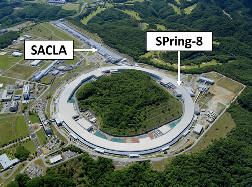 大型放射光施設（SPring‐8）及びX線自由電子レーザー施設（SACLA）
