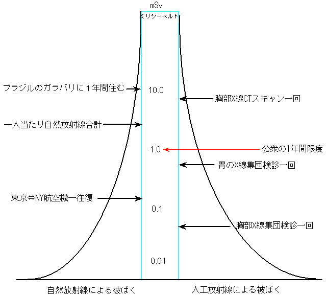 Vy[W̐}