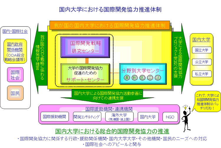 国内大学における国際開発協力推進体制