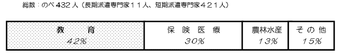 文部科学省関係のJICA（ジャイカ）派遣専門家分野別実績（平成16年度）