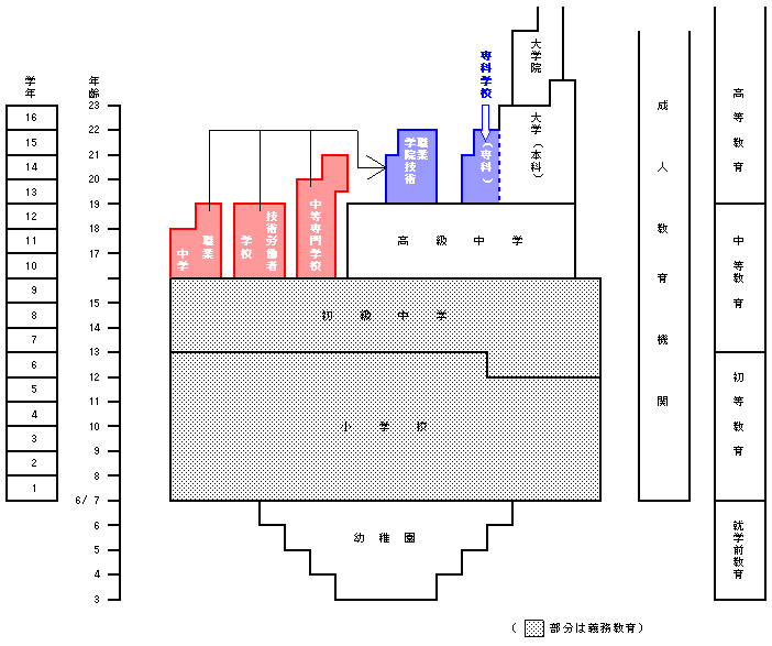 中国の学校系統図