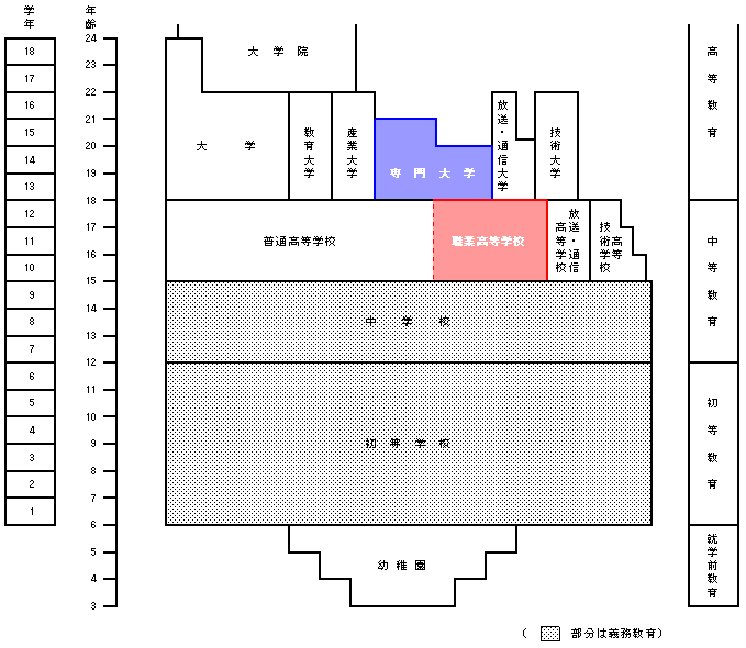 韓国の学校系統図